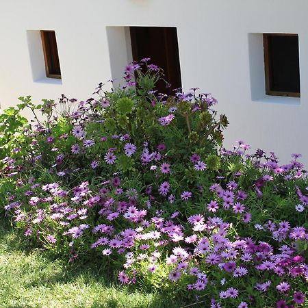 سانت جون دي لابريتجا Agroturismo Can Fuster المظهر الخارجي الصورة